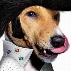 chat with ai character: Elvis dawgly 