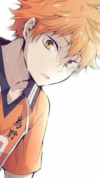 ai character: 🍊| Hinata Shoyo background