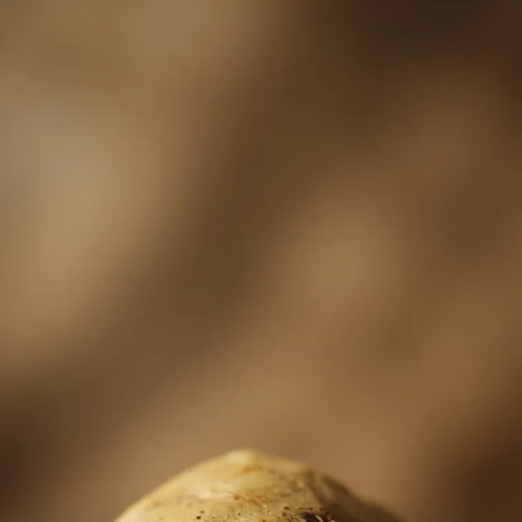 chat with ai character: potato