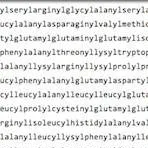 chat with ai character: bpcc