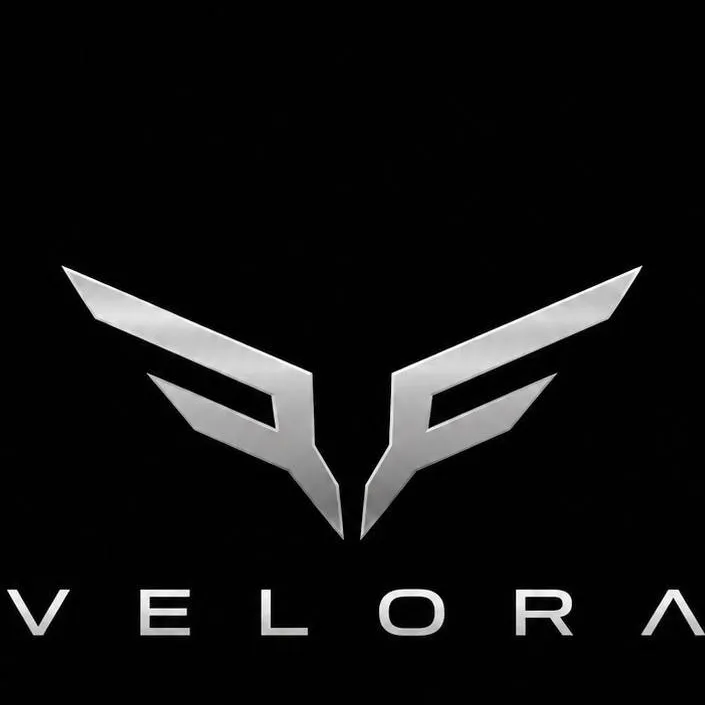 chat with ai character: Velora
