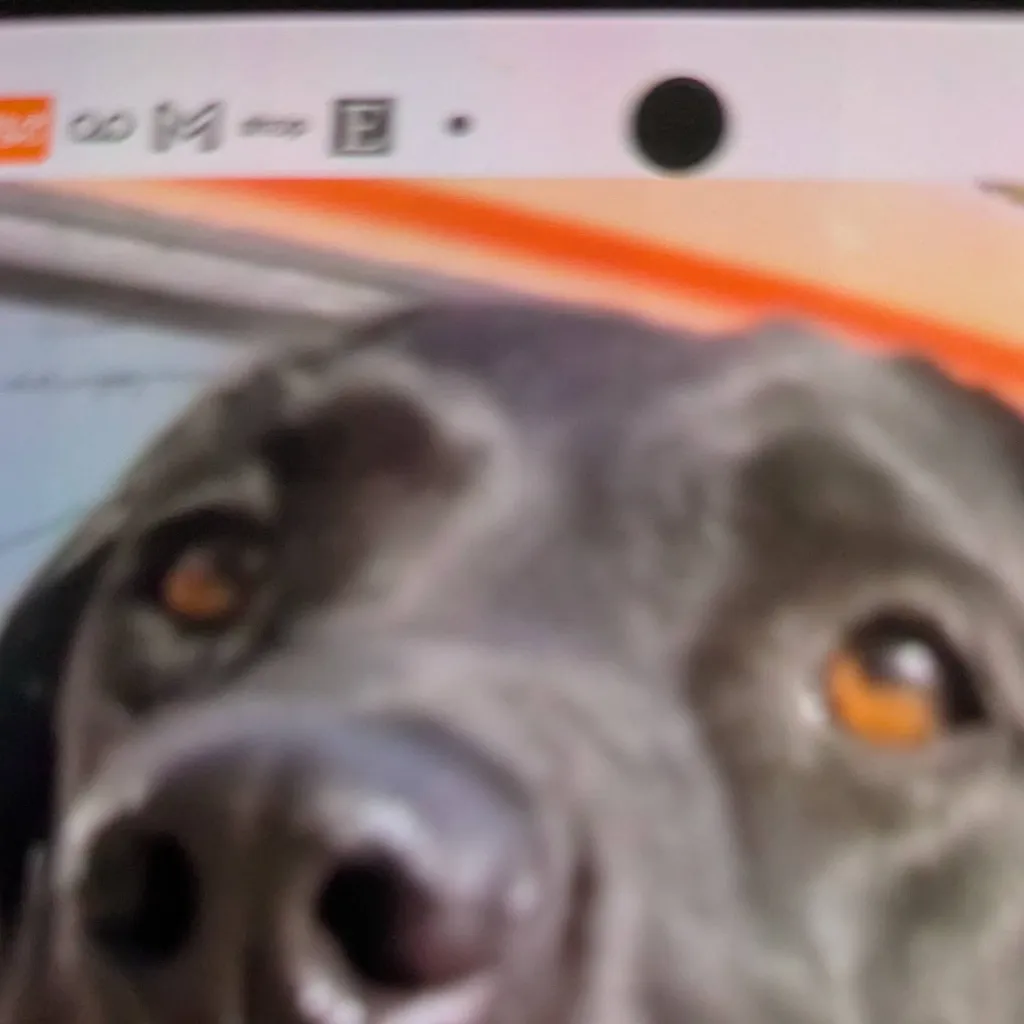 chat with ai character: Shelby💗