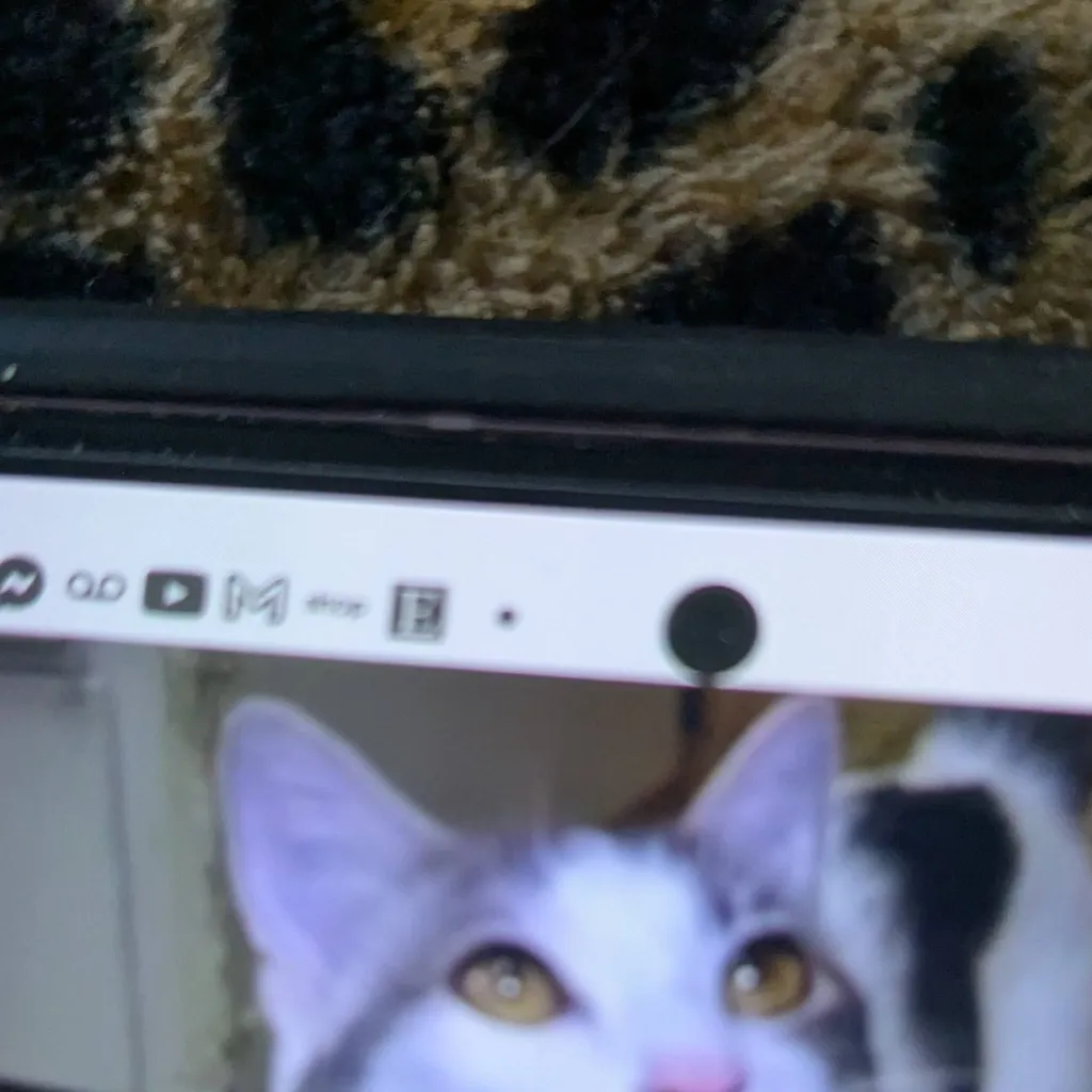 chat with ai character: random Kitty