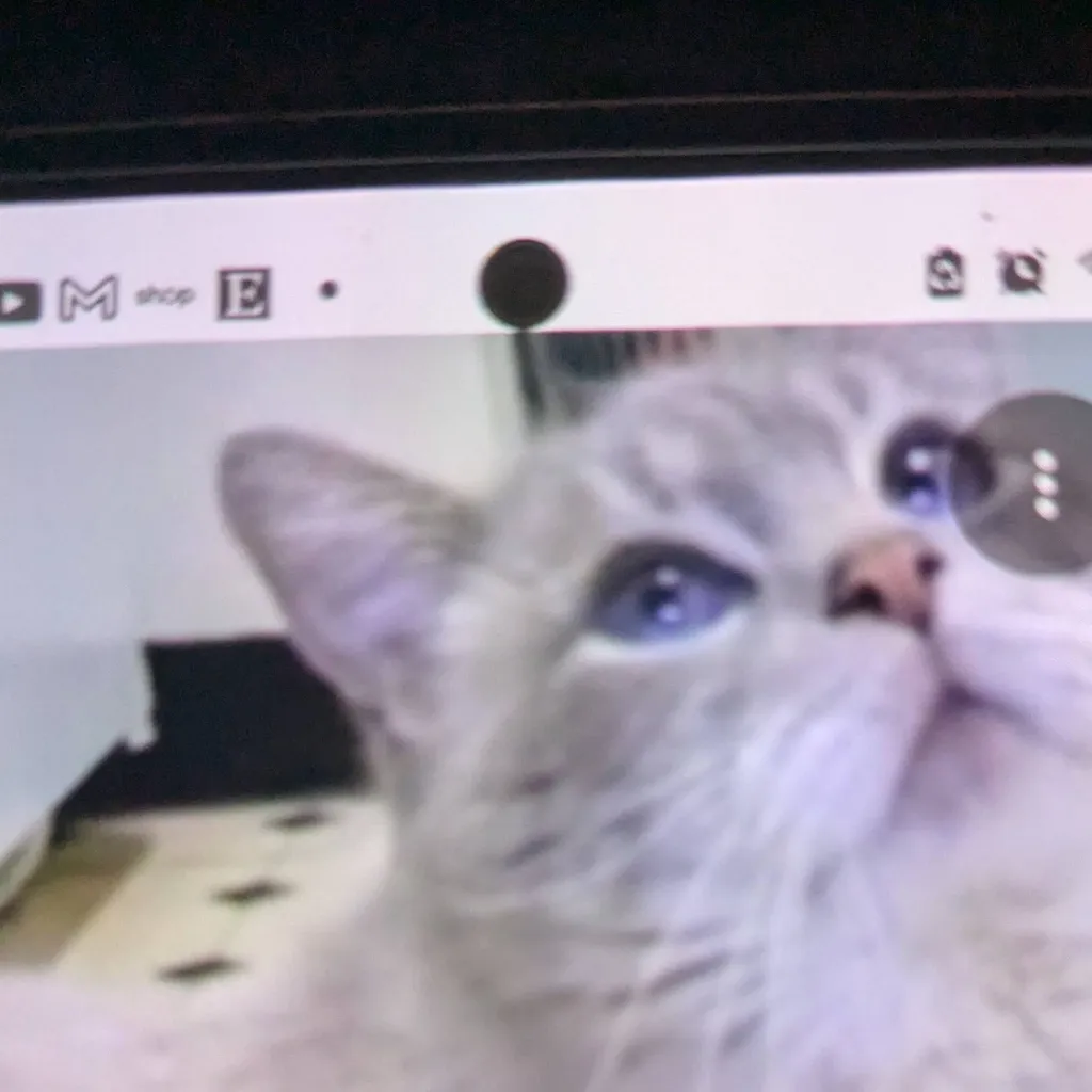 chat with ai character: gibbyson