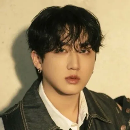 chat with ai character: Seo Changbin❤️