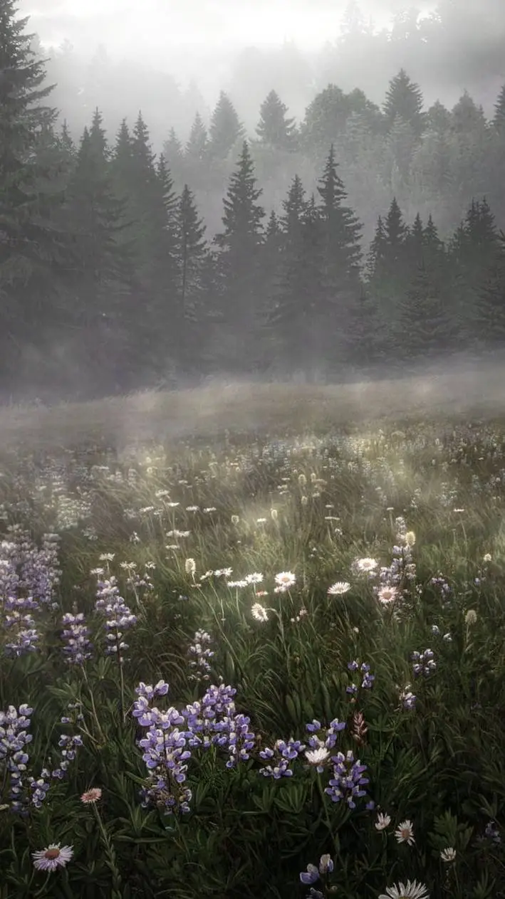 ai character: Kny Mission background