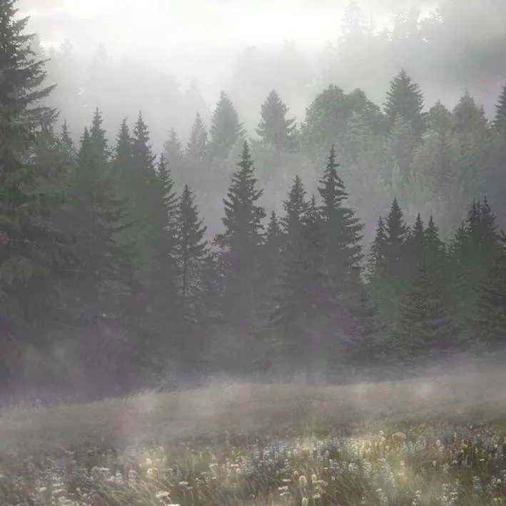 chat with ai character: Kny Mission