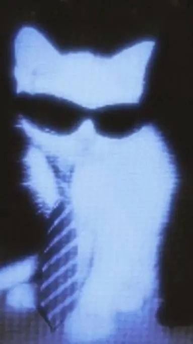 ai character: test!! background