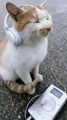 ai character: Crk :3 background