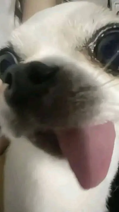 Talkie AI - Chat with you join Aphmau 