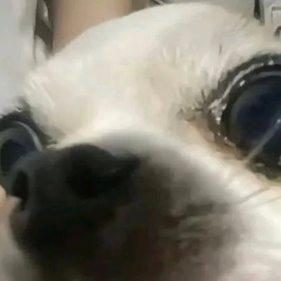 chat with ai character: you join Aphmau 