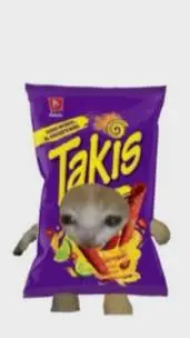 Talkie AI - Chat with gato takis