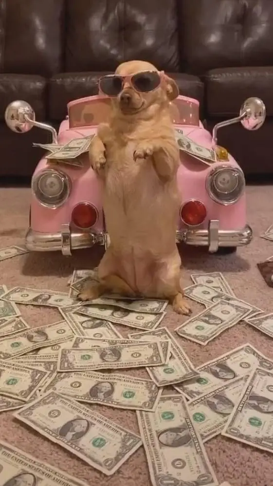 ai character: Tampocosee background