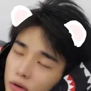 chat with ai character: Hyunjin ferret🐾