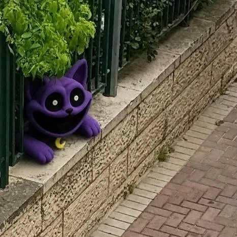 chat with ai character: CatNap outside!