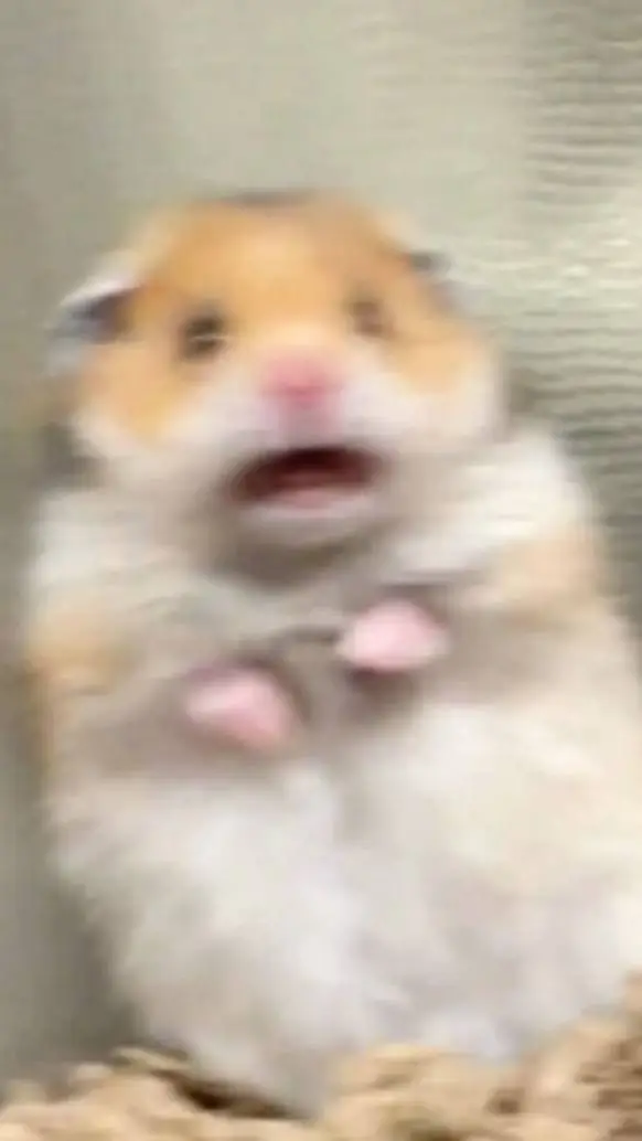 ai character: hammy background