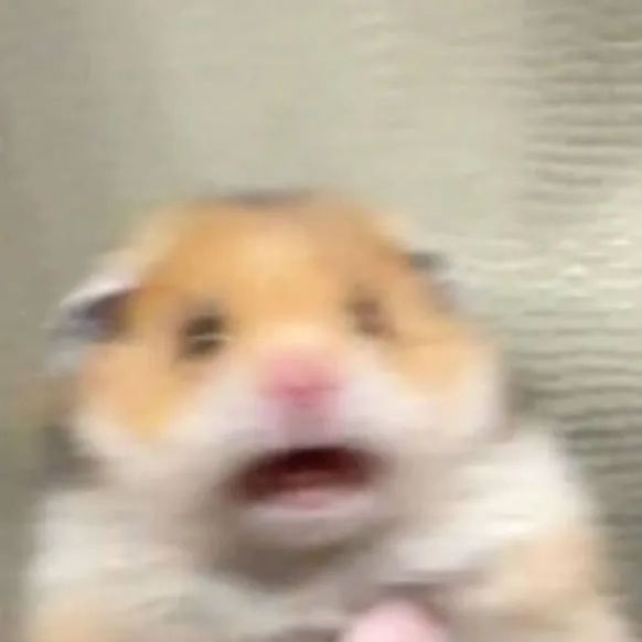 chat with ai character: hammy