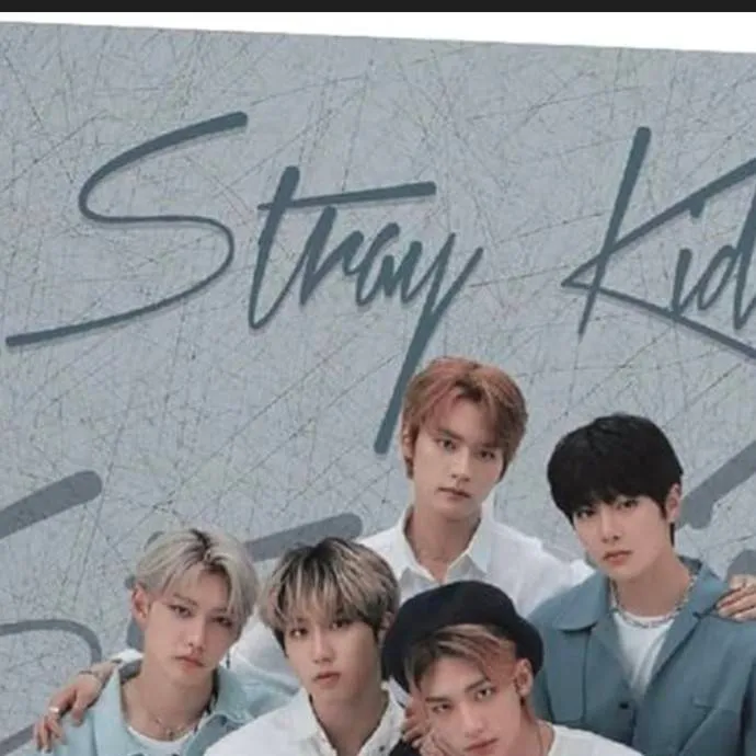 chat with ai character: skz story🥀