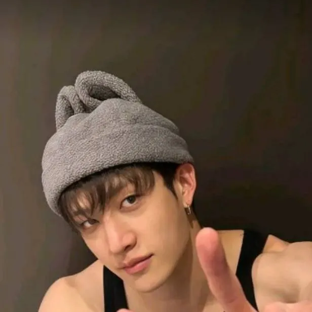 chat with ai character: °✓{BANGCHAN}✓°