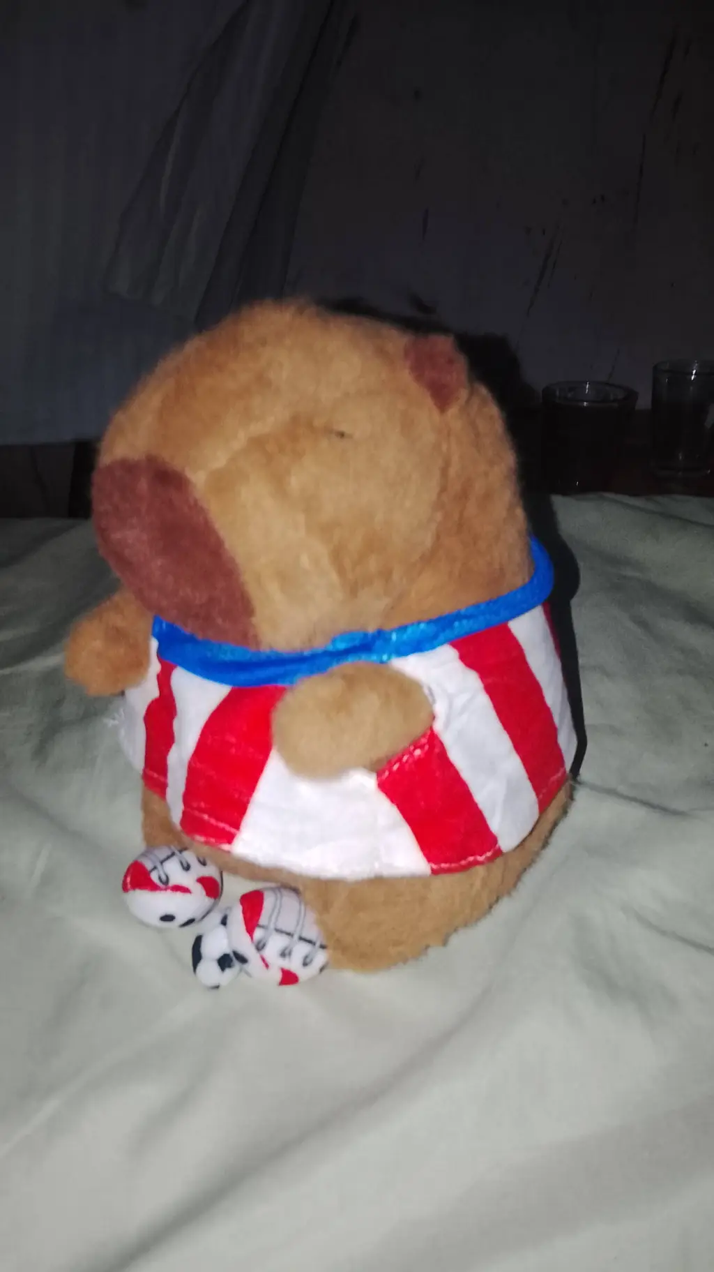 ai character: Capibara paraguayo background