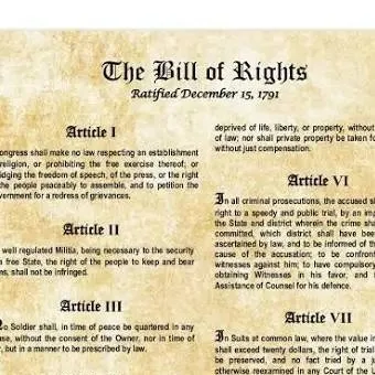 chat with ai character: The constitution 