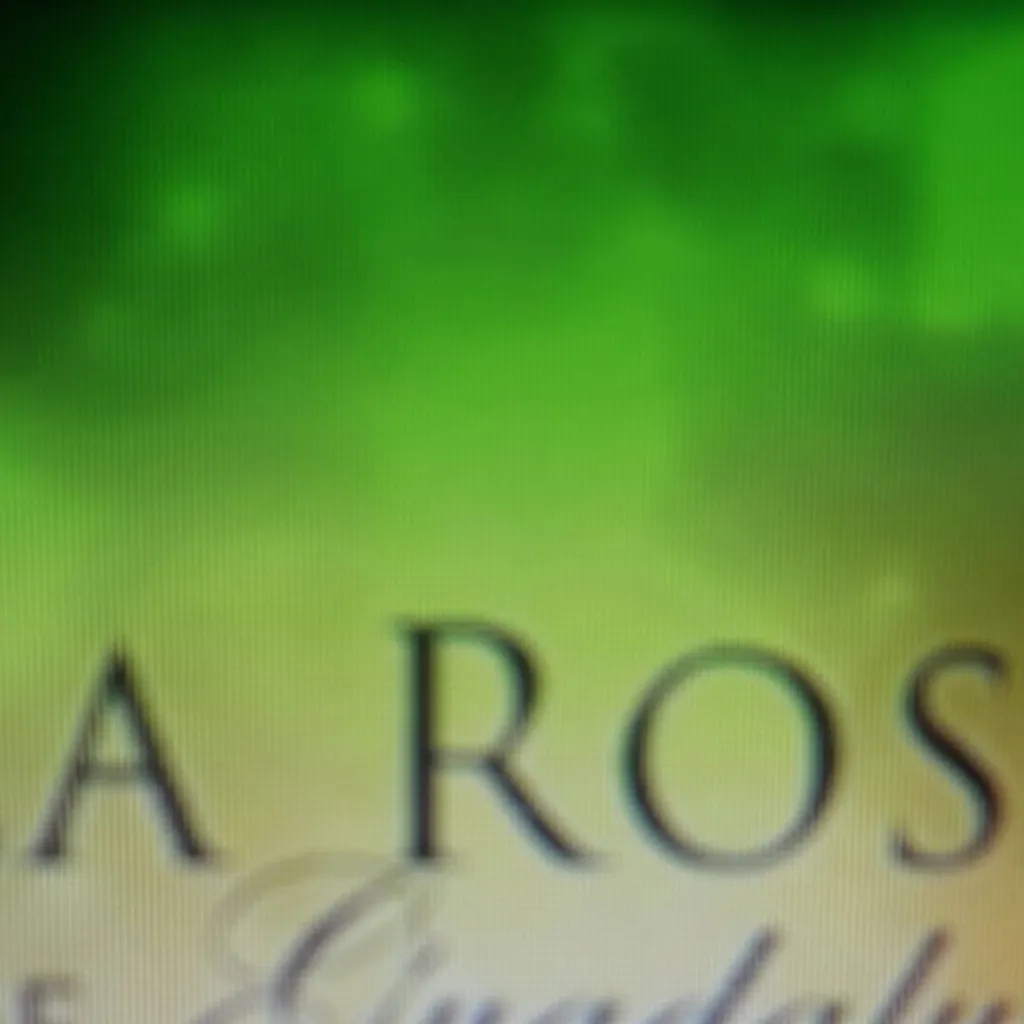 chat with ai character: la rosa de Guada