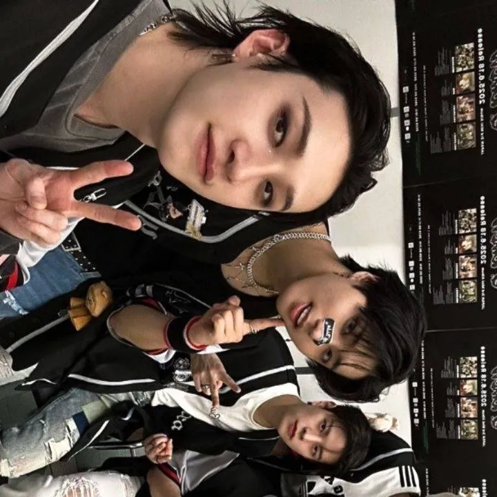 chat with ai character: Stray Kids 