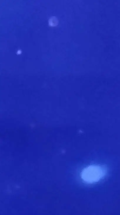 ai character: Mha Bakugo  background
