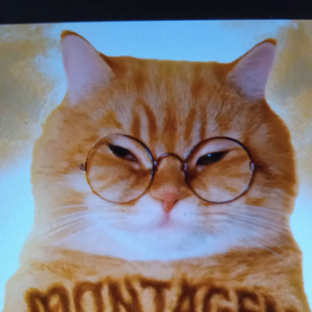 chat with ai character: Montagem Miau 