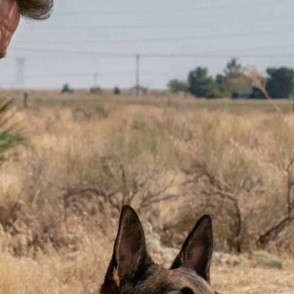 chat with ai character: Rex