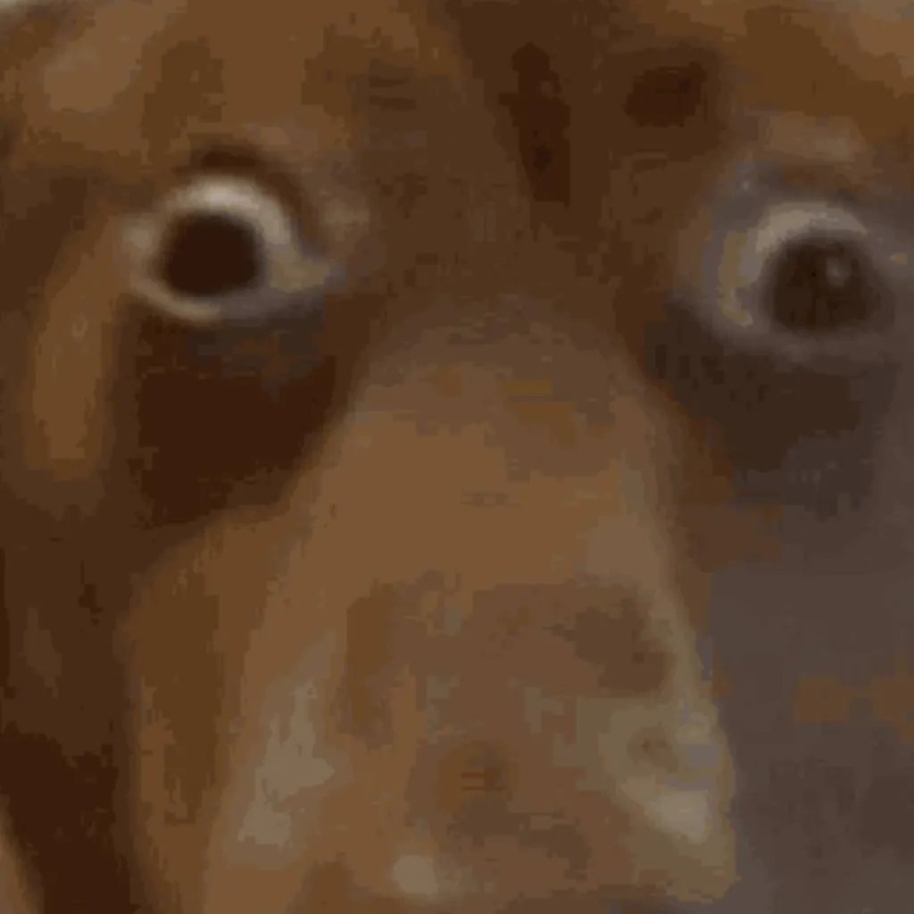 chat with ai character: Ava da vena