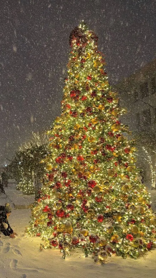 ai character: Kny Christmas!!!  background
