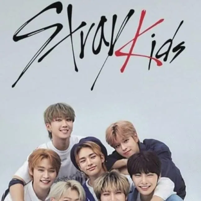 chat with ai character: skz