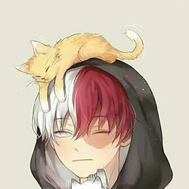 chat with ai character: 🔥Shoto❄