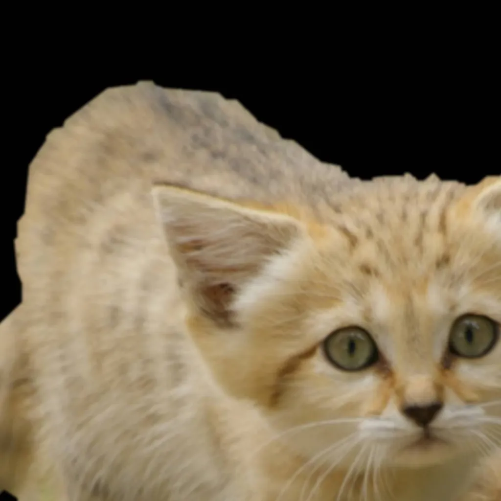 chat with ai character: sand cat 