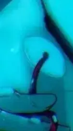 ai character: Mha couples  background