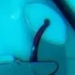 chat with ai character: Mha couples 