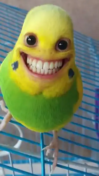 ai character: meeeeessi background