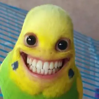 chat with ai character: meeeeessi