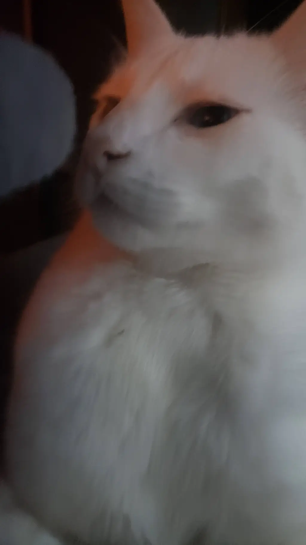 ai character: forsaken pick me background