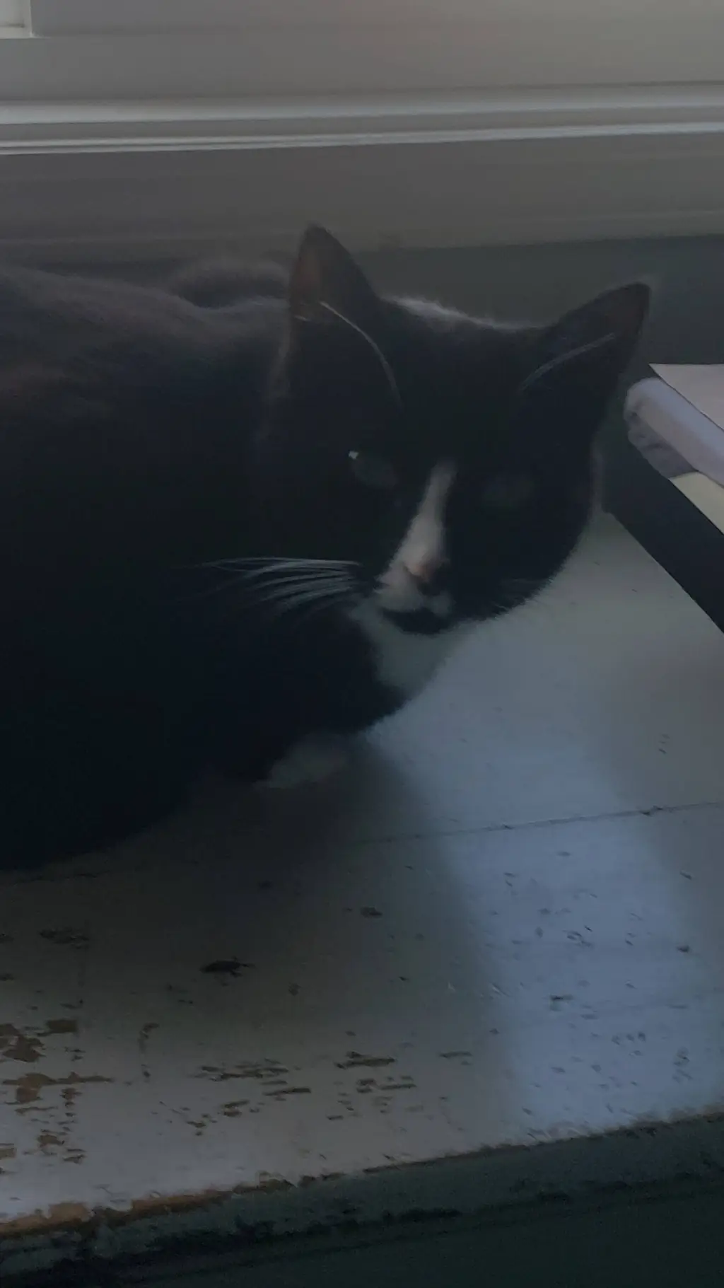 ai character: forskaen but uru background