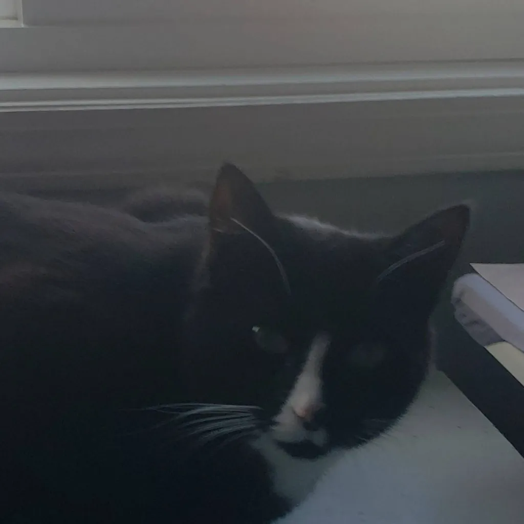 chat with ai character: forskaen but uru