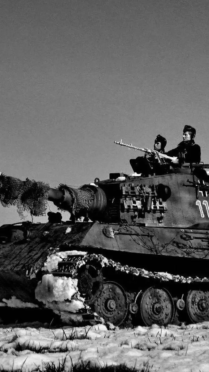 Talkie AI - Chat with Hans Schwingle.