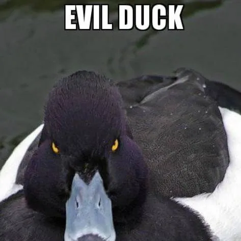 chat with ai character: THE EVIL DUCK!