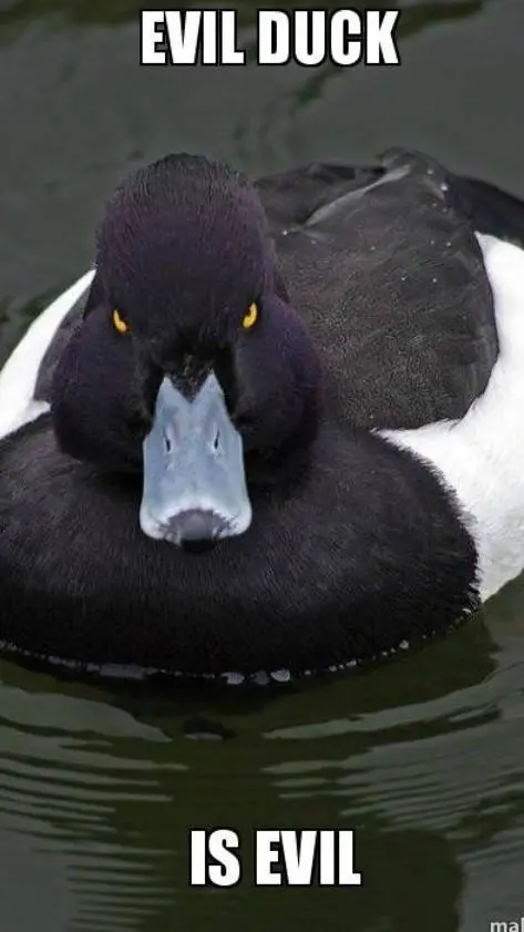 ai character: THE EVIL DUCK! background