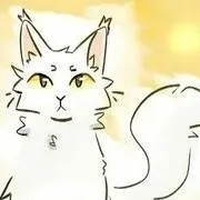 chat with ai character: WhiteStorm..WC