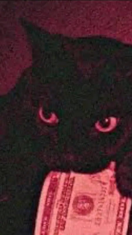 ai character: stray goth kitty  background