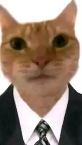 Talkie AI - Chat with Gato Elegante