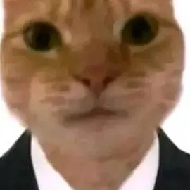 chat with ai character: Gato Elegante