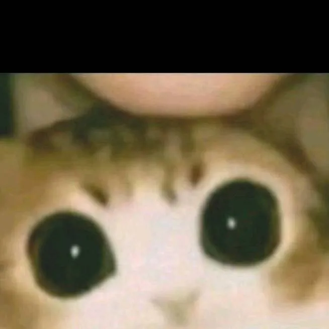 chat with ai character: gatito xd